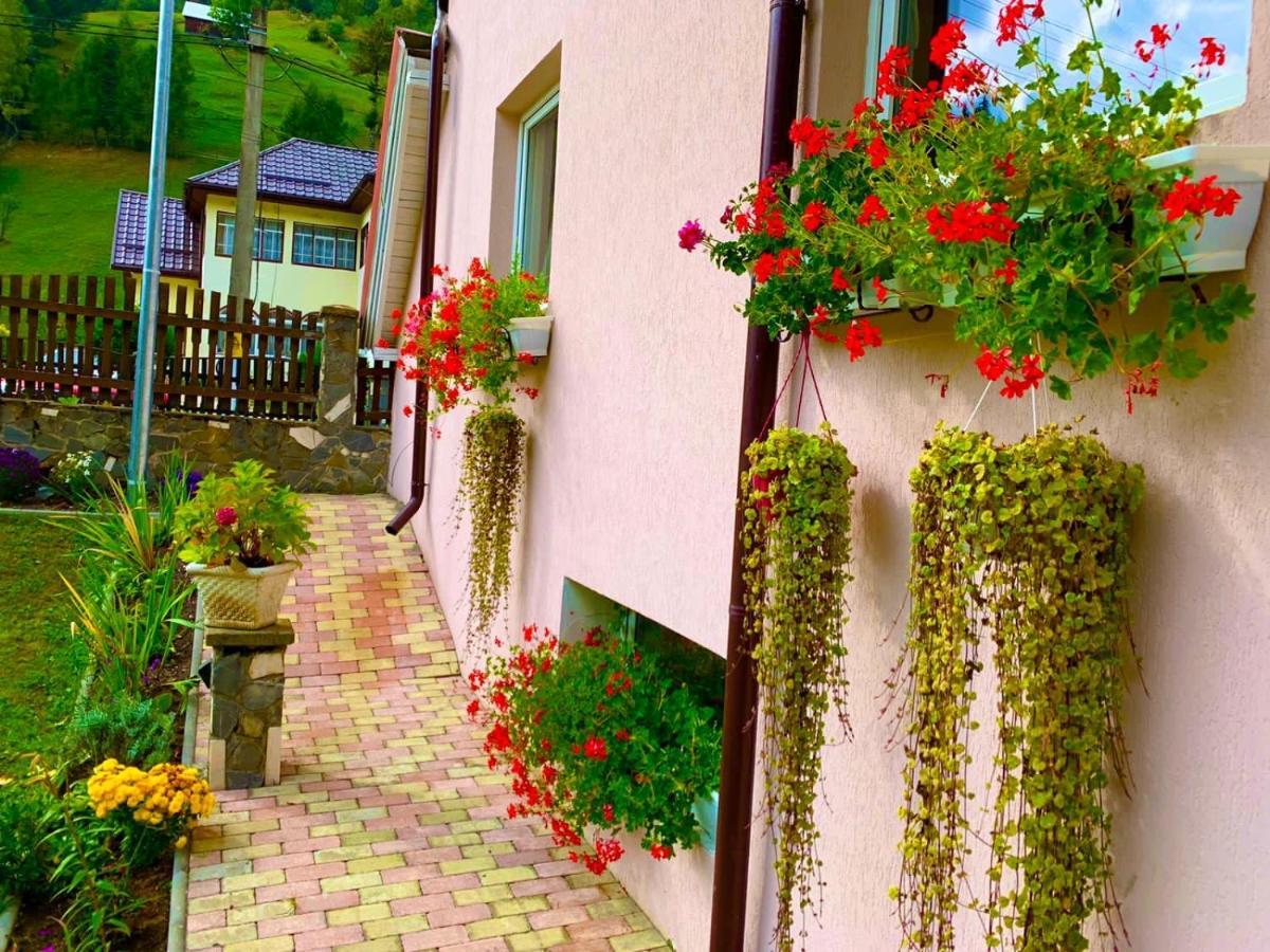Anelisse Inn Moeciu De Sus Exterior foto