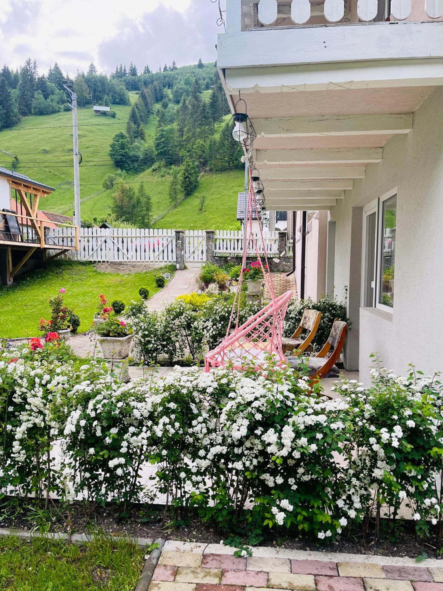 Anelisse Inn Moeciu De Sus Exterior foto